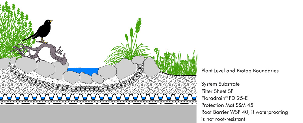 System build-up "Biodiversity Green Roof"